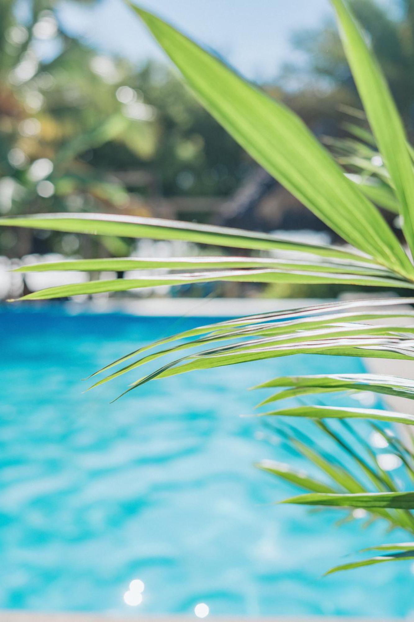Bella Vista Resort Zanzibar كيزيماكزي المظهر الخارجي الصورة